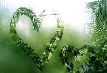 什琴斯尼：我之前放弃了赢欧冠的想法，如今这个梦想重燃了.